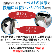 ZP仮面ライダー電王 アックスフォーム&キンタロス
